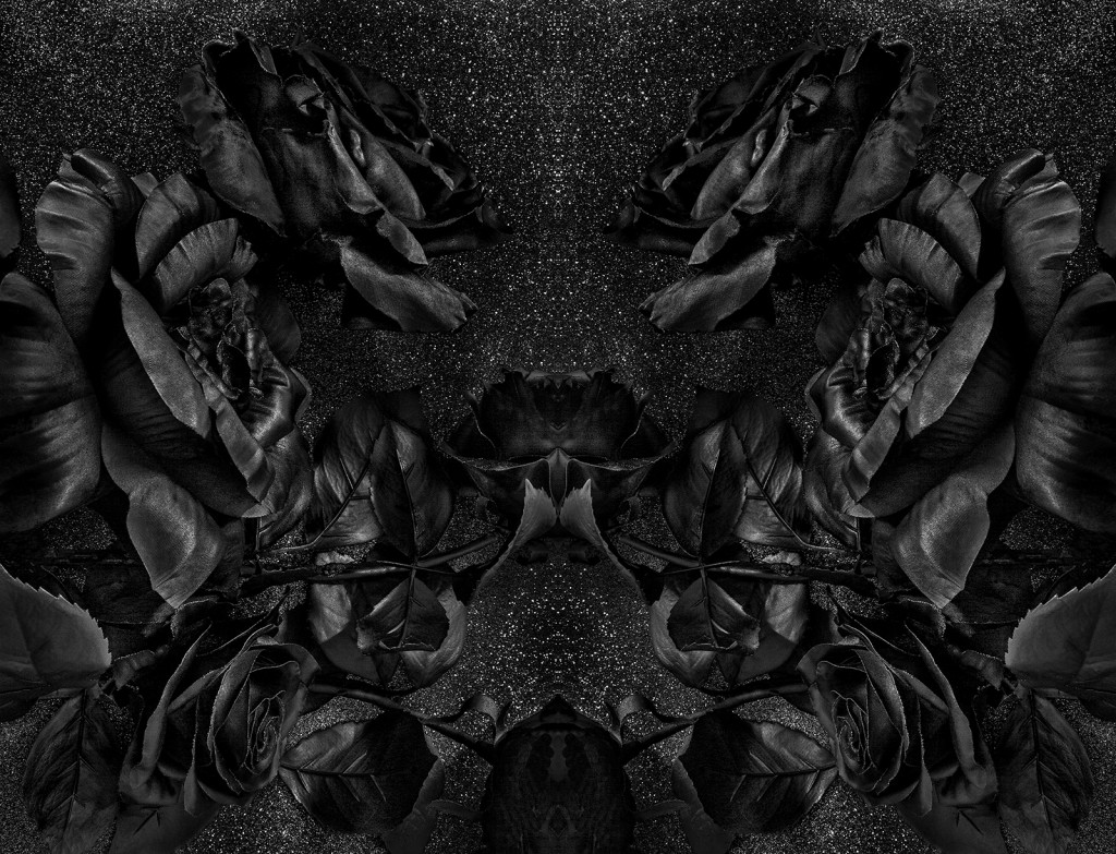 CERVIX